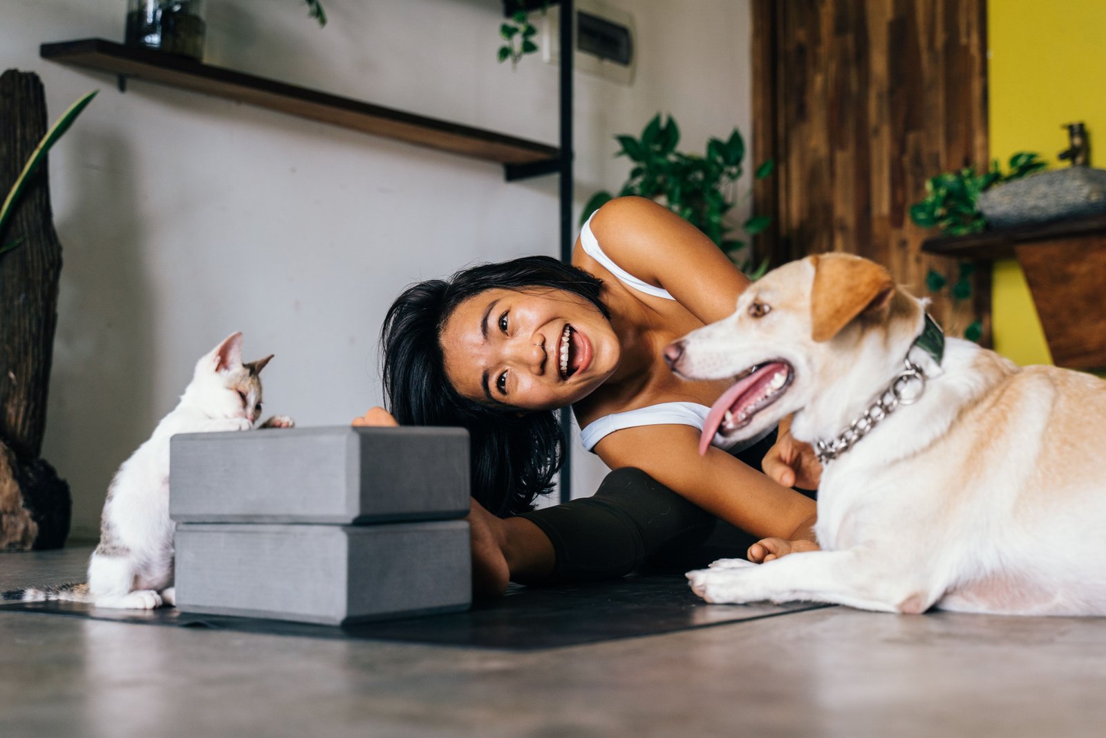 Vale a pena ter plano de saúde pet? Descubra por que cada vez mais responsáveis estão investindo na prevenção