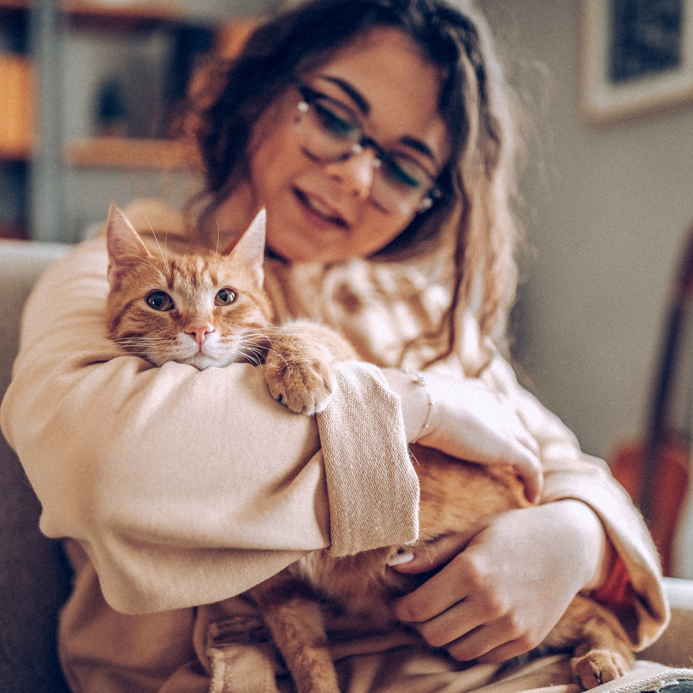 Responsável abraçando seu gato com carinho